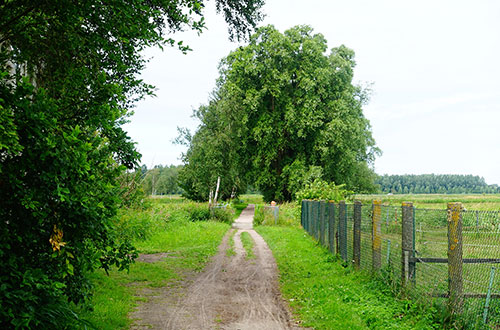 Angelika Tutka Fotografie
